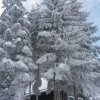 Weihnachtsschikurs (28.-31.12.2014)