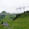 DSC05516