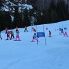 IMG_3241