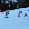 IMG_3246