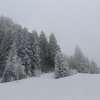 IMG_5061