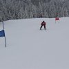 IMG_5221