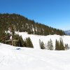 IMG_5805