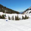 IMG_5806
