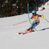 IMG_3973