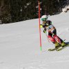 IMG_3975