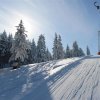 IMG_1987