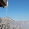 IMG_2004