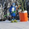 IMG_2006