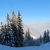IMG_2116
