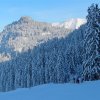 IMG_2117