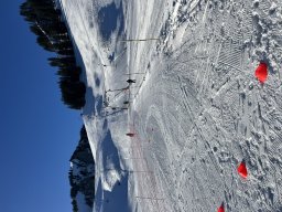 IMG_0753