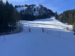 Ortsvereinerennen (8.2.25)